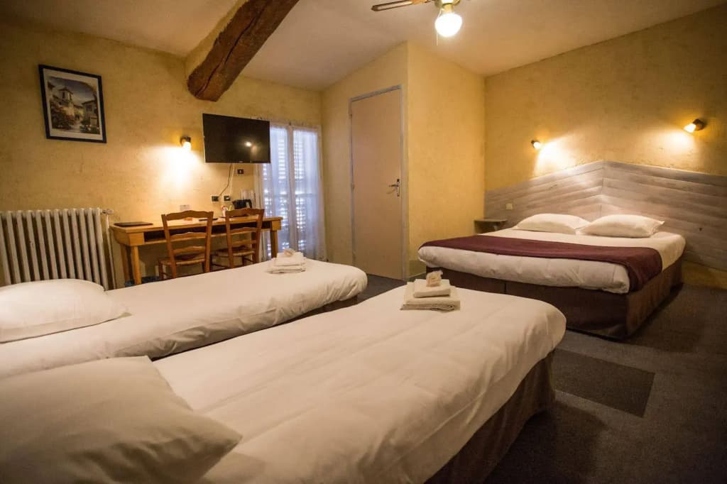 Logis hôtel du Terreau - Photo 5