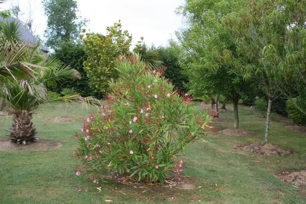 Logis De La Mare Du Parc - Miniature 5