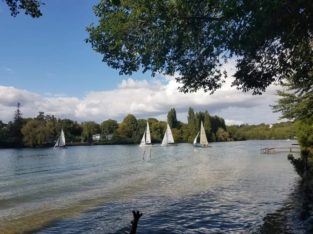 Propriété Les Ruisseaux - Photo 3