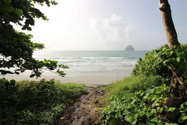 Le Diamant d'Océane, à 50 m de la plage