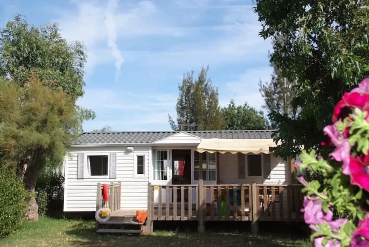 Camping Tikayan Les Palmiers