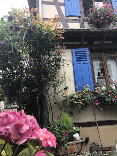Le Jardin de l'Ill