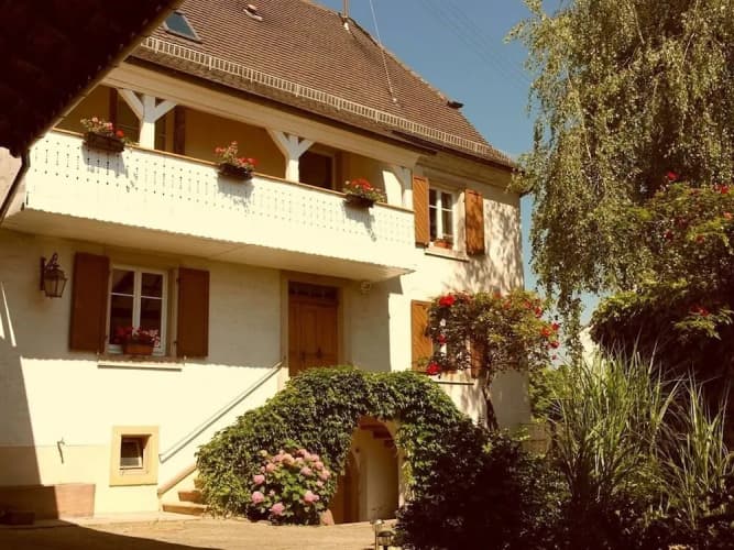 La Vieille Vigne