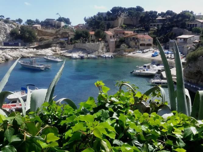 La Palmeraie des Calanques