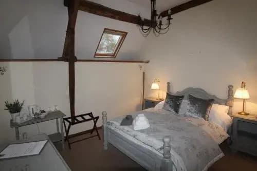 La Petite Jeusseliniere - Photo 1