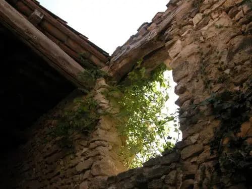 A Cappella - Photo 1