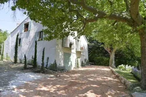 Mas des Lavandes - Photo 1