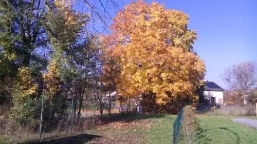 Domaine du Hulobiet - Photo 1