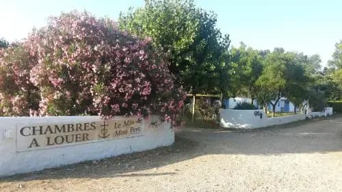 Le Mas de Mon Pere - Photo 1
