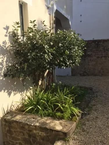 Les Cabanes de Chanteclair - Photo 1