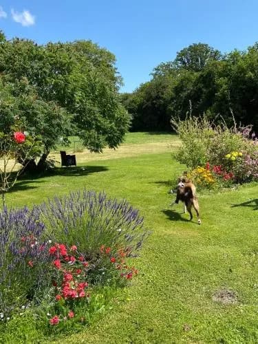 Les Eaux de La Petite Fontaine - Photo 1
