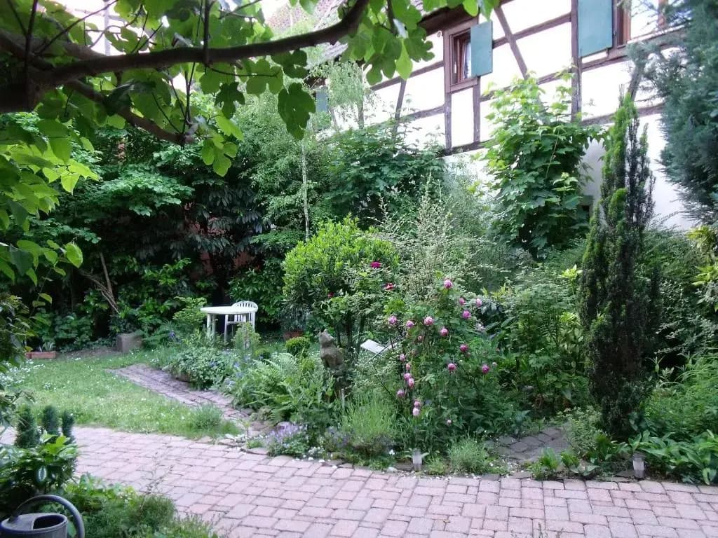 Apt. La Grenouillère De Turckheim - Photo 1