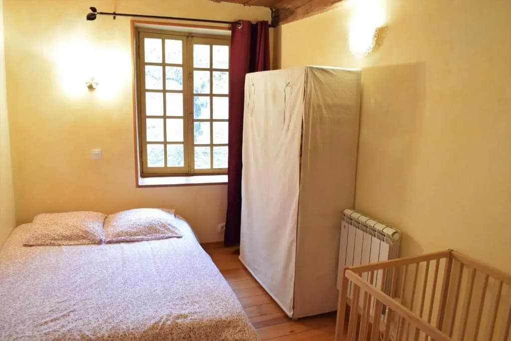 L'âne à plumes - Photo 1