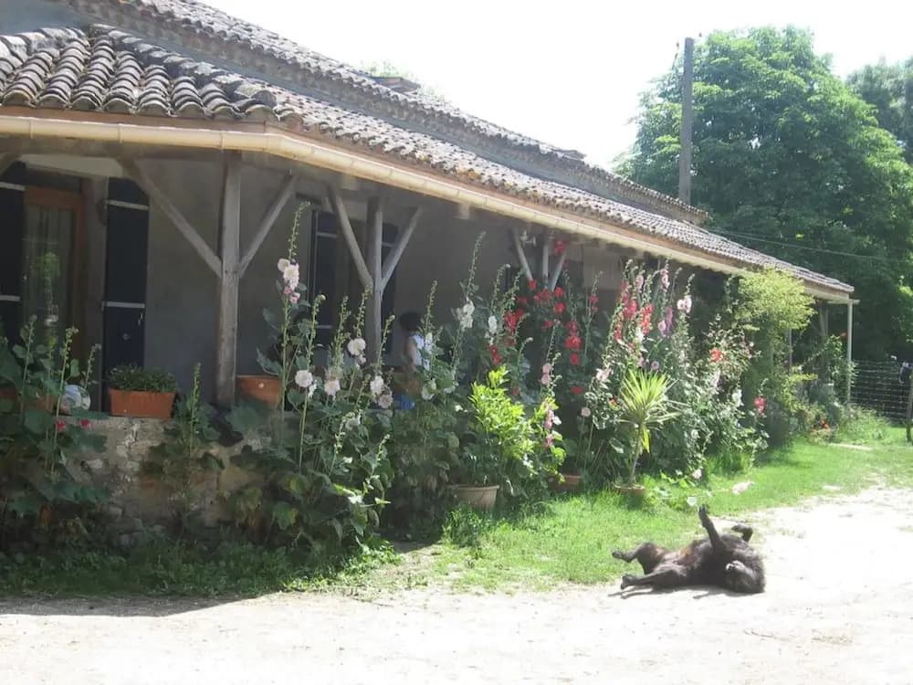 Chambres d'hôtes Le Chintre - Photo 1