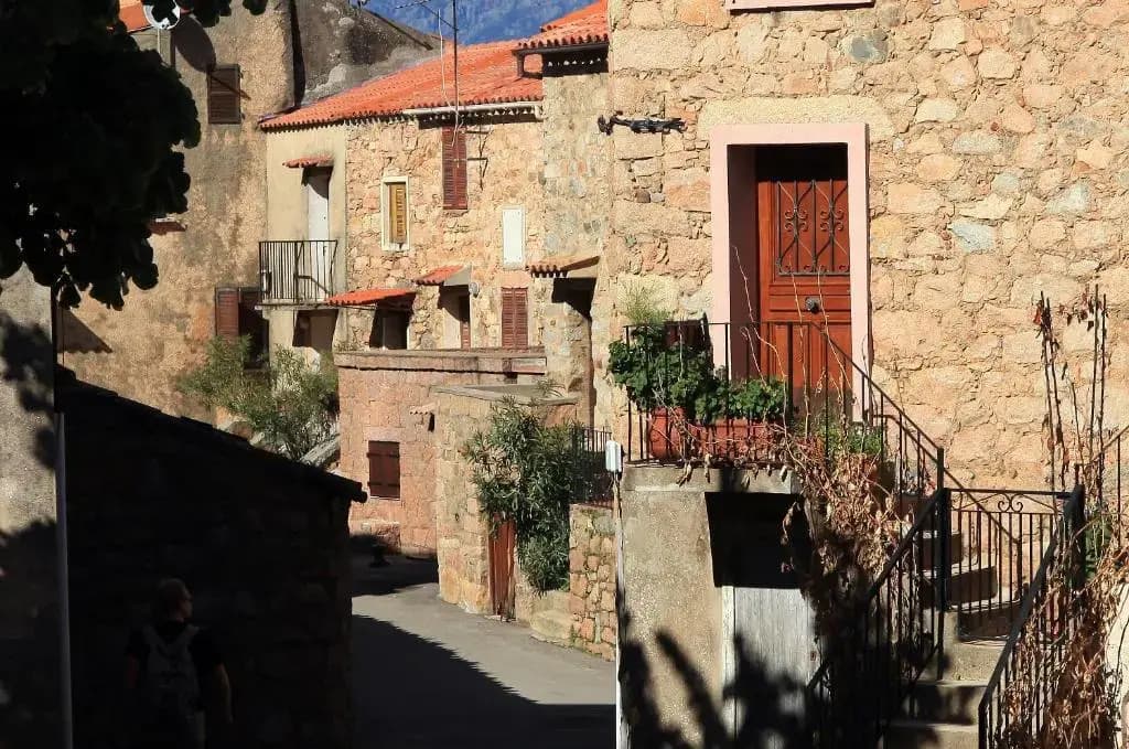 Résidence L'Alivetu - Photo 1