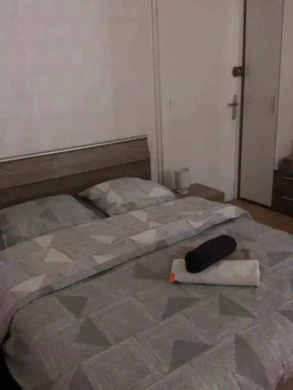 Duplex 2 au centre de MIRECOURT - Photo 1