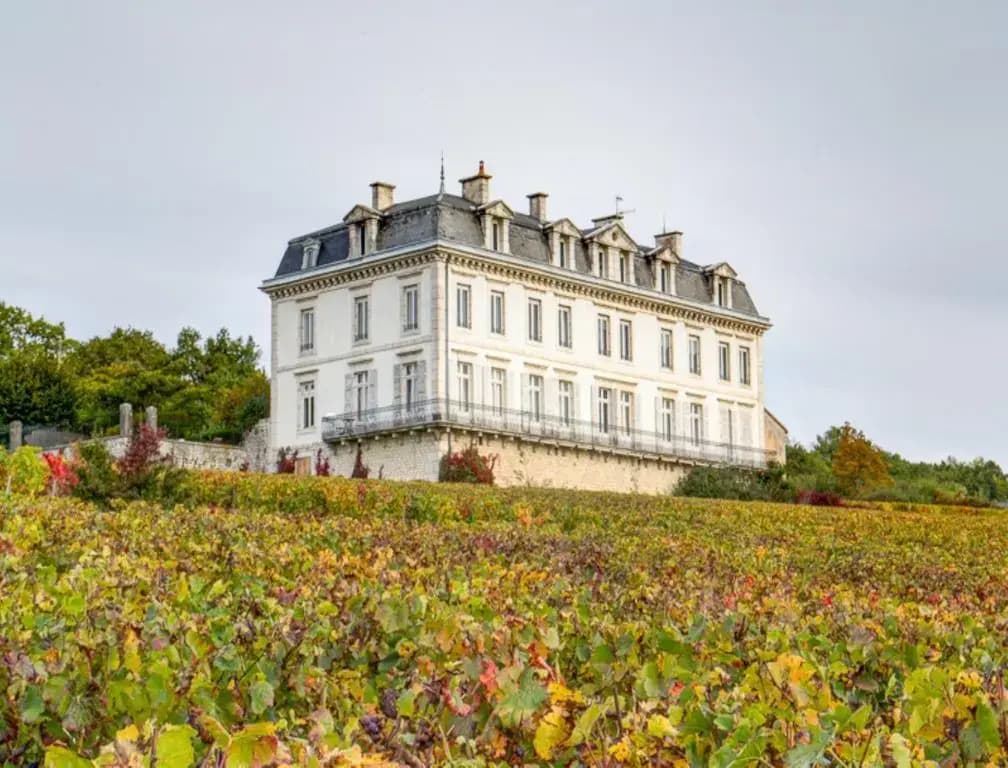Gites Chateau Comblanchien - Photo 1