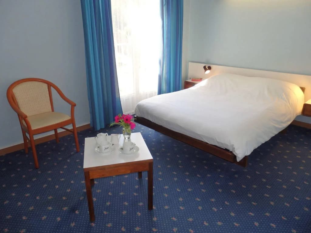 Hôtel Royal Vézère - Photo 1