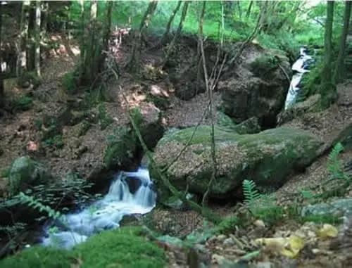 Auberge du Précontent - Photo 1