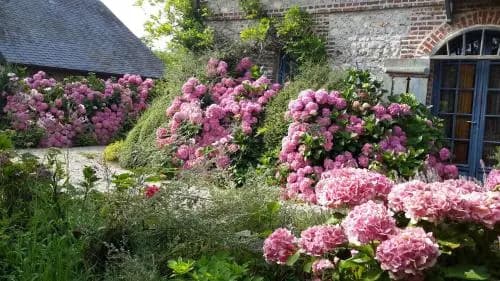 La Cour de Bas - Photo 1