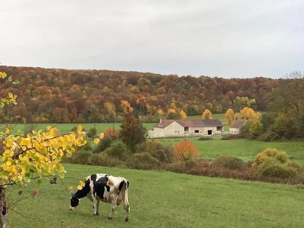 Gîte 6 pers de la Vallée de l'Aujon - Photo 1