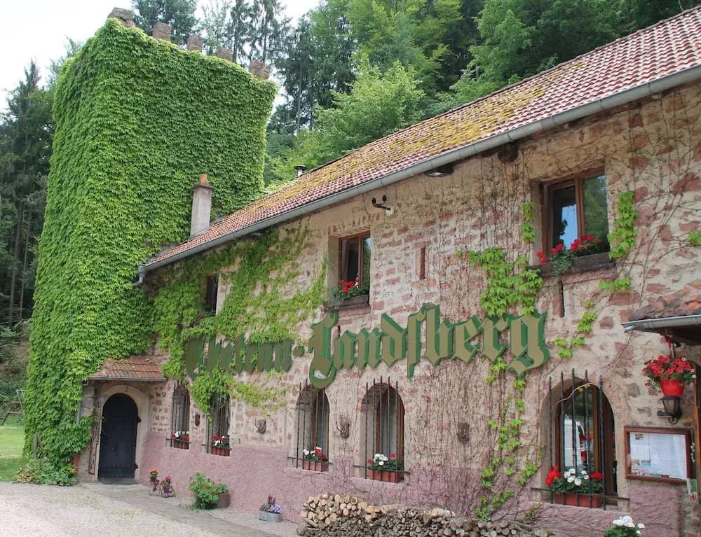 Hôtel Restaurant Château Landsberg & Spa - Photo 1