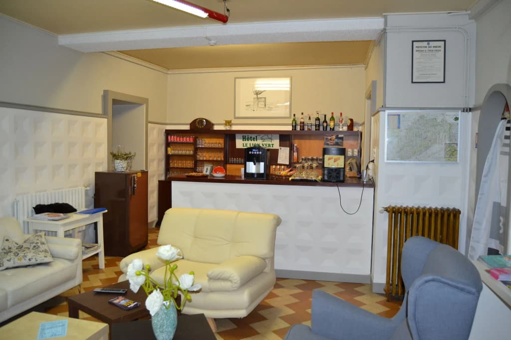 Hôtel du Lion Vert - Photo 1