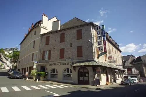 Hôtel du Lion d'Or - Photo 1