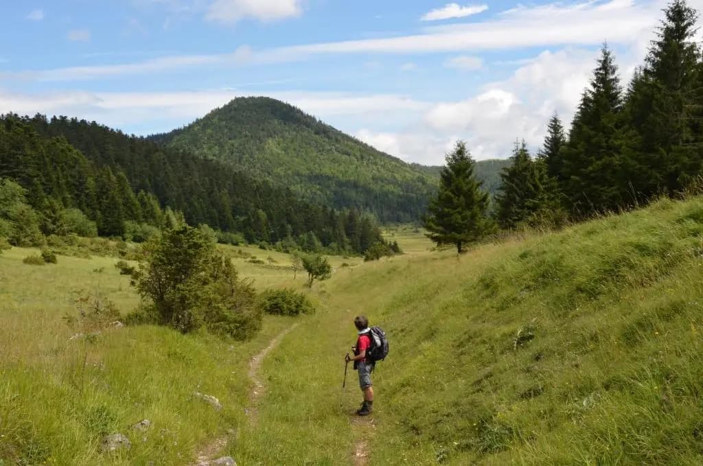 Domaine du Hameau Baylesse - Photo 1