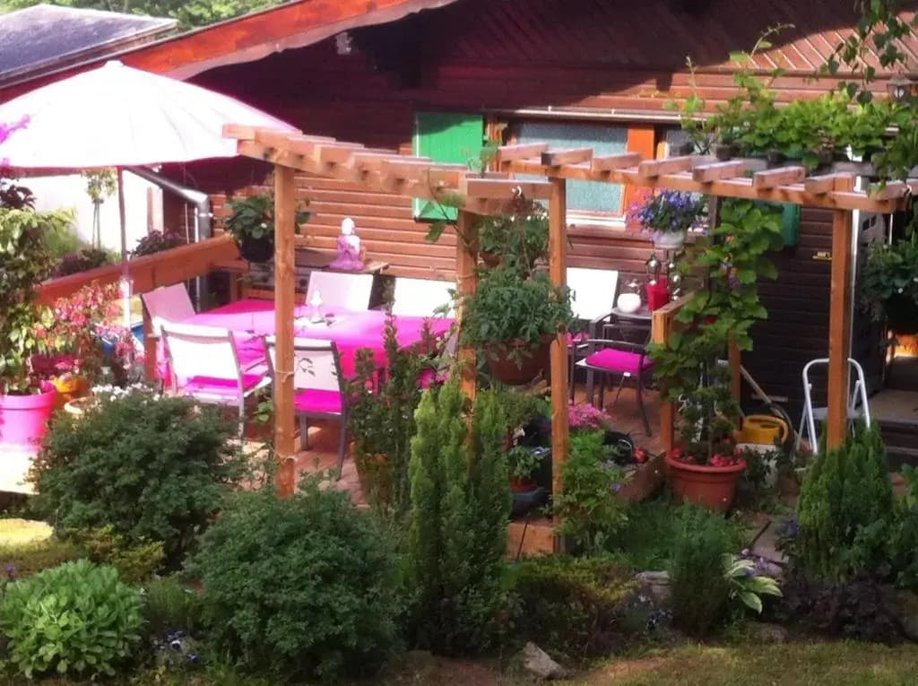 Les Effraies - Photo 1