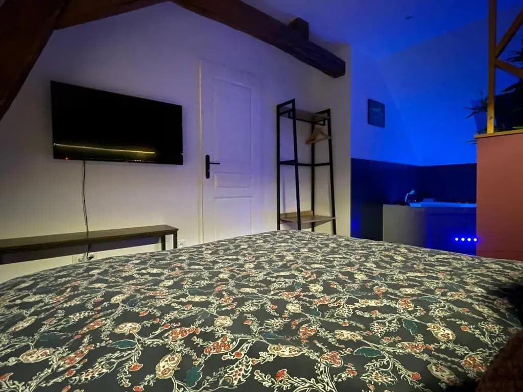 Maison avec balnéo à 10min du Zoo de Beauval - Photo 1