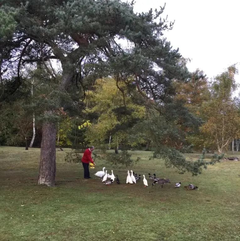 Résidence Clairbois, Chambres d'Hôtes - Photo 1