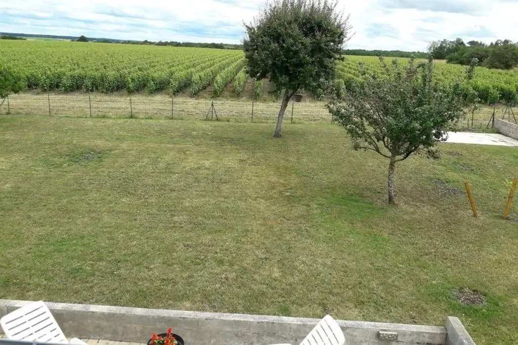Maison proche zoo - Photo 1