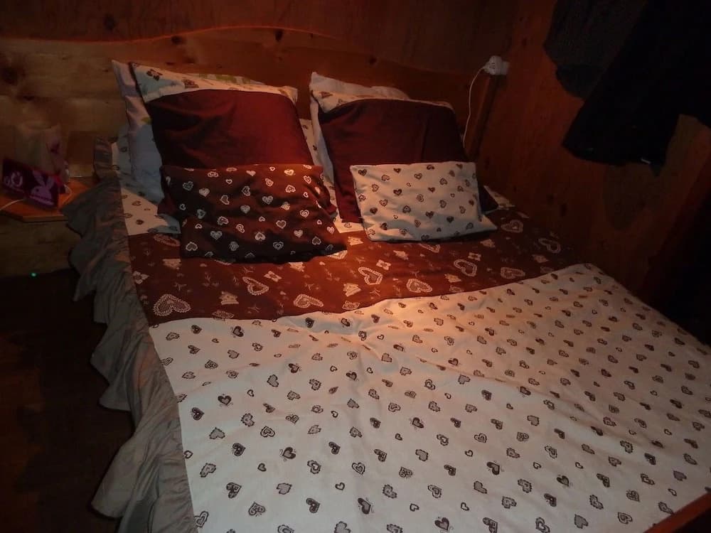 Chalet du Feignolé - Photo 1