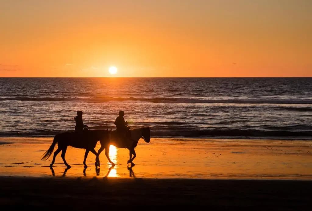 Résidence Saint Cyprien Plage - Photo 1