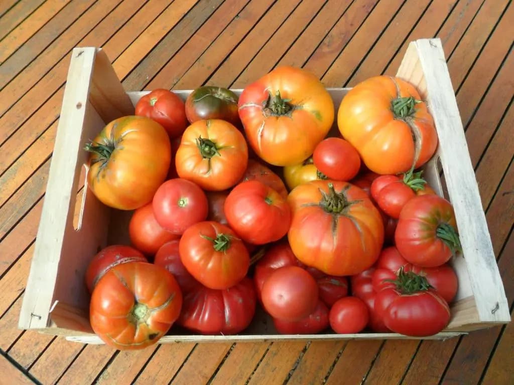 Chambres d'Hôtes La Turone - Photo 1