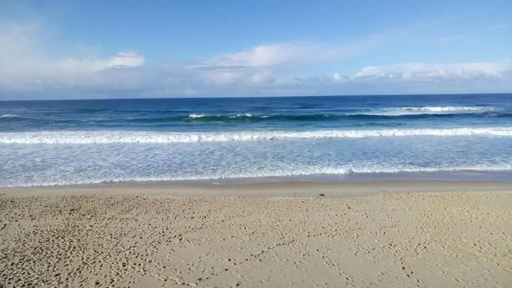 La Grange et Le Nid - Photo 1