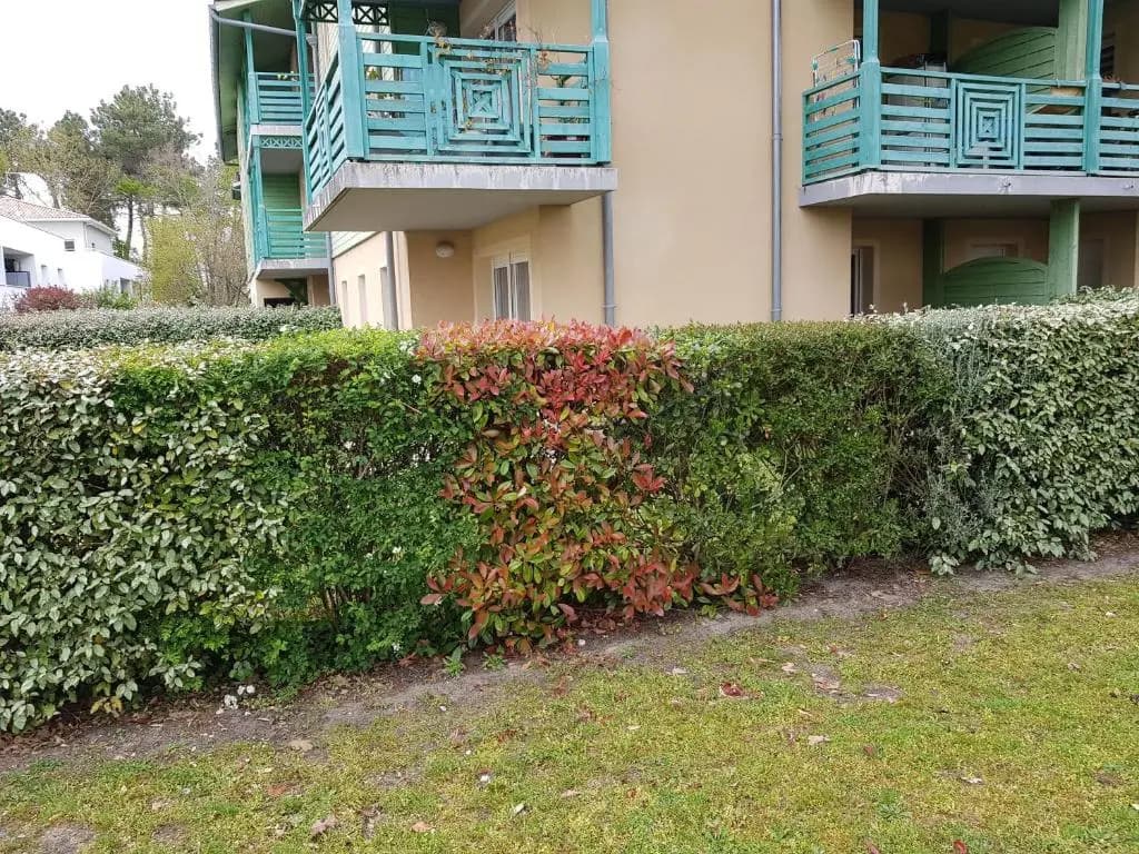 L'océan - Photo 1