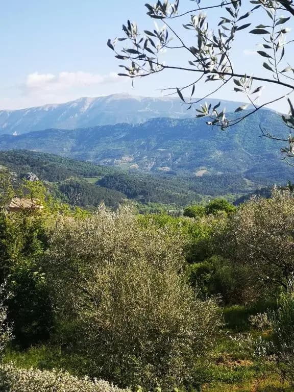 Secluded House with Amazing View And Swimming Pool - Photo 1