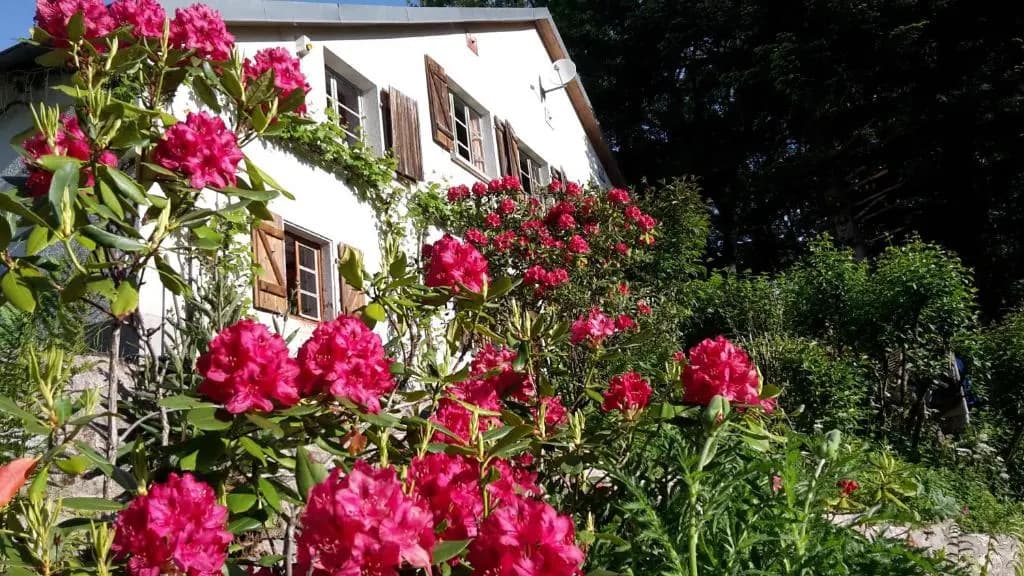 PtitMonde - Photo 1
