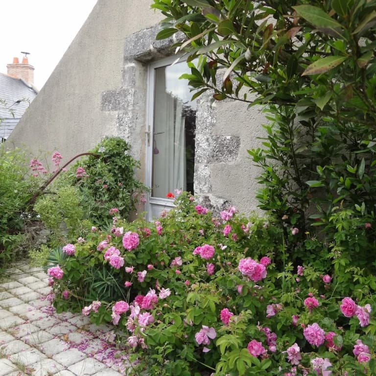 Le Moulin Géant - Photo 1