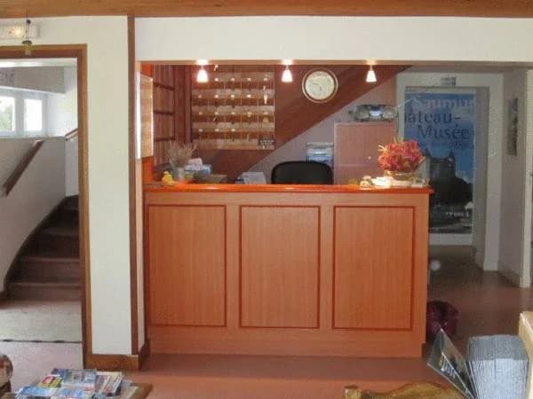 Hotel du Petit Lussault - Photo 1