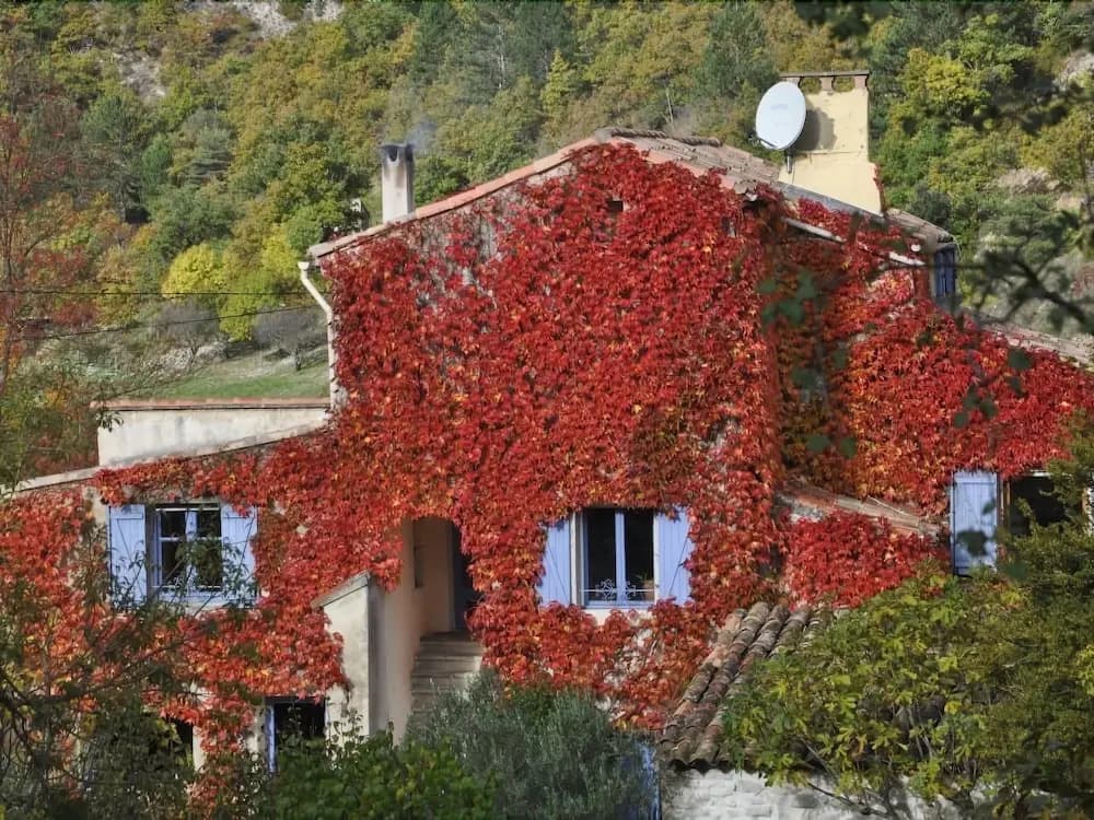 La Danse des Papillons - Campsite - Photo 1