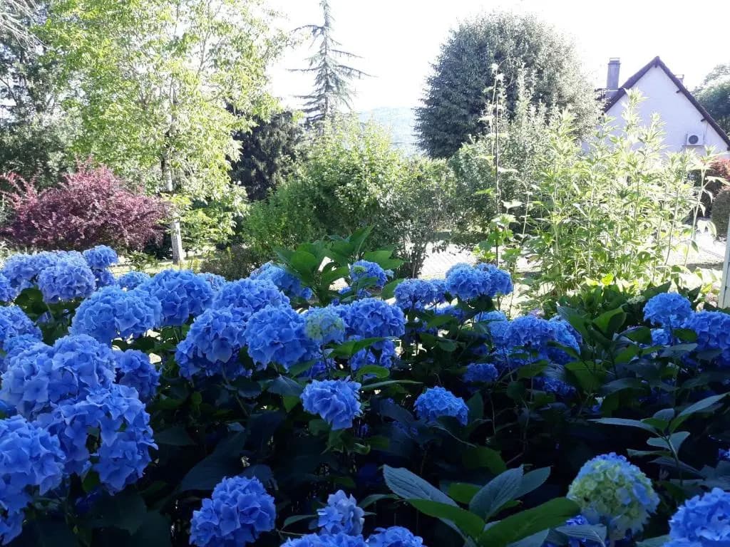 Chalet Rocamadour - Photo 1