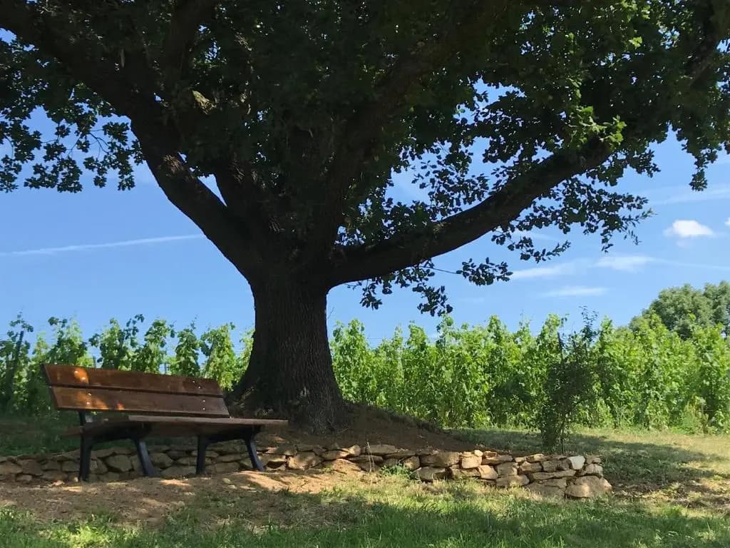 Le Domaine de Gorneton - Photo 1