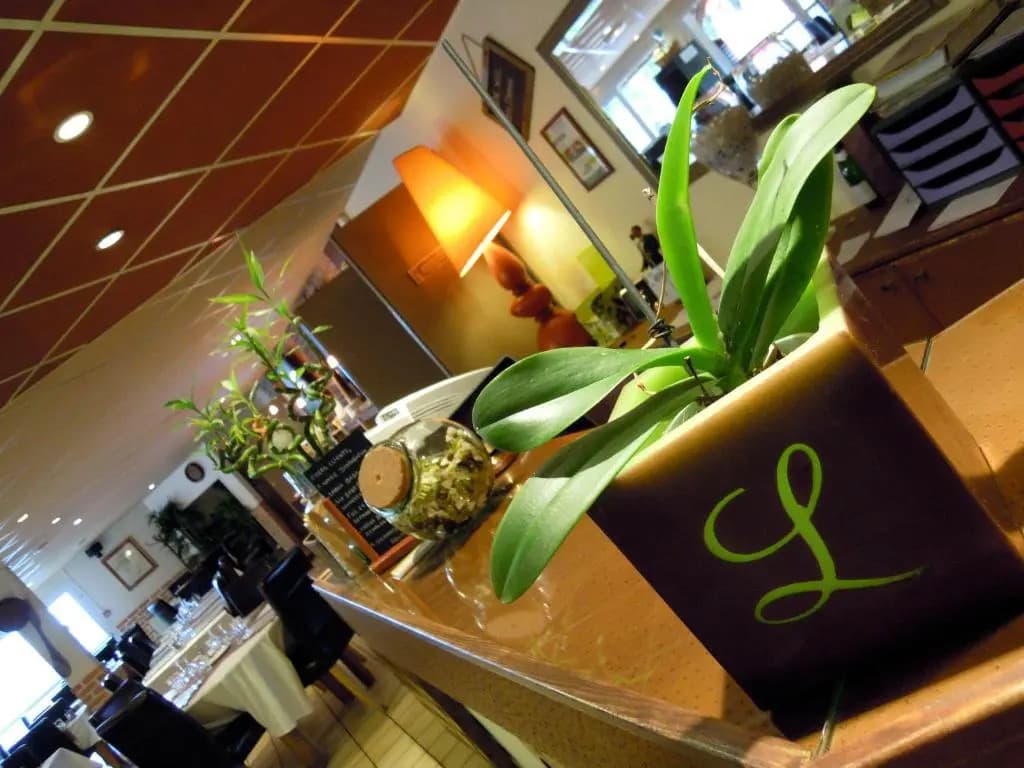 Logis Bagatelle - 51530 Dizy - Photo 1