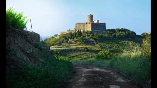 Chambre d'hôtes Les Jasmins - Photo 1