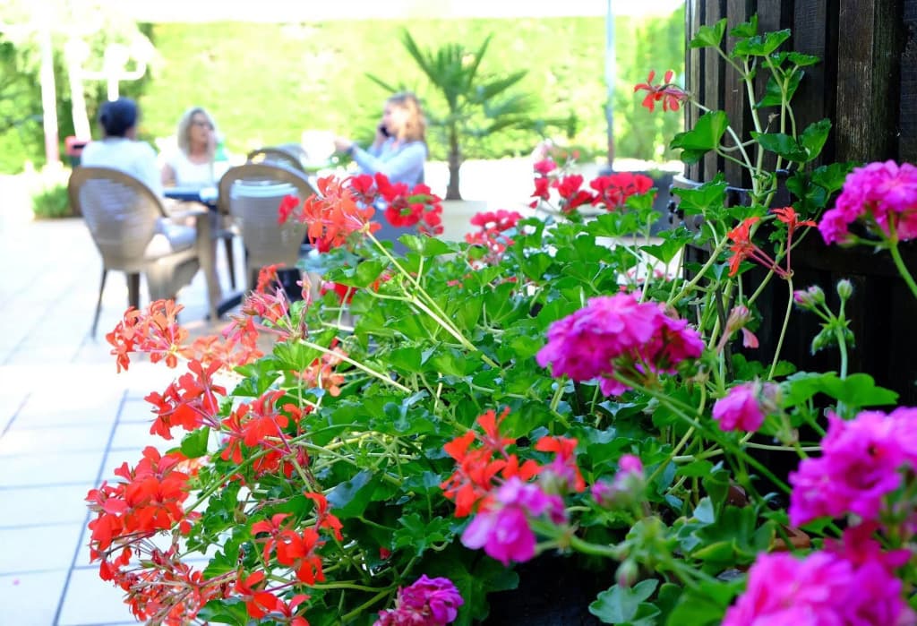 Logis Hôtel et Restaurant Ludik - Photo 1