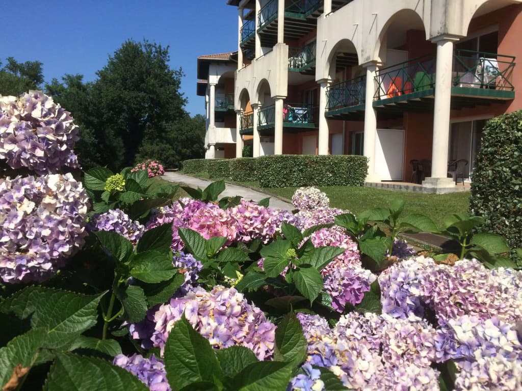 Résidence Soko-Eder - Photo 1