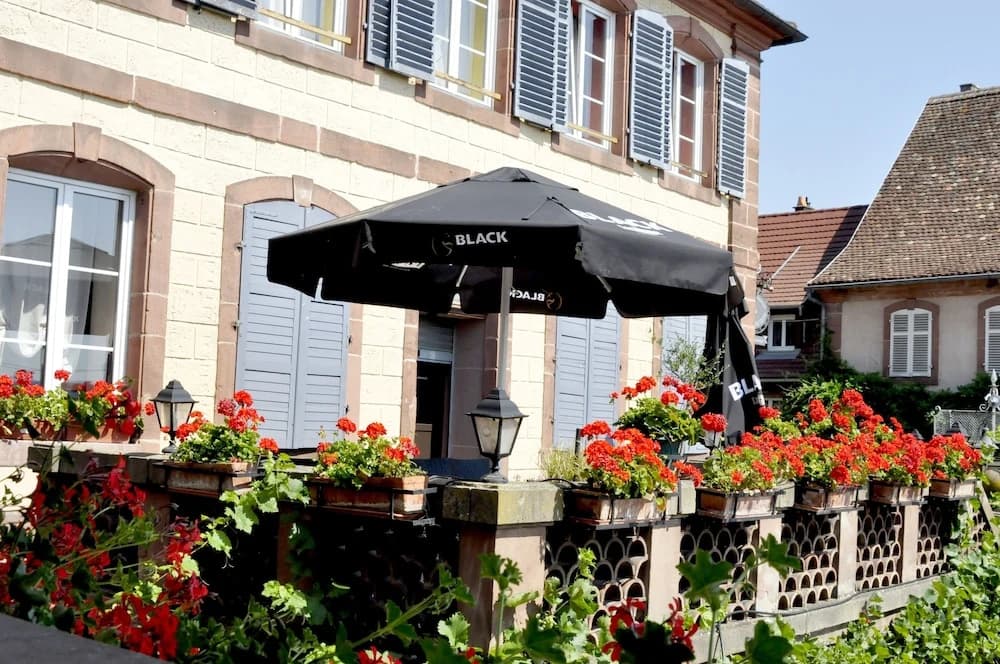 Logis Hôtel du Herrenstein - Photo 1